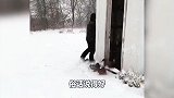 搞笑配音：狗：我可能不是真的人，但你们是真的狗