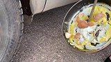 趣味脑洞实验：牛人驾驶汽车碾压刚刚煎好的鸡蛋