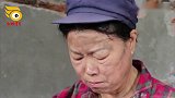 狗狗帮主人抢药，老板却说送给它，狗狗被感动的流泪