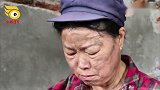 狗狗帮主人抢药，老板却说送给它，狗狗被感动的流泪