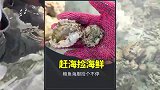 男人赶海抓到一条八爪鱼，一不小心就被对方吸在了脸上！