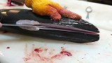 顶级日本大厨处理鲨鱼，刀工一流，看着超过瘾