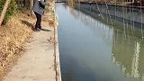一只小猫被困河中，被路过好心人士救出