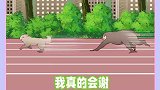 猴子野区单抓狗头
