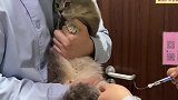 毛栗子真正的心寒不是大吵大闹