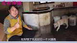 胖妹回家先喂旺财吃饱，大洋地位不如一只狗，胖妹做鱼汤面安慰