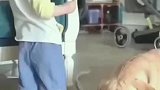 小狗真的是啥也没干