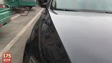 农村小宝梦想为上学，40岁爷们学养鹅，一个窍门开心了