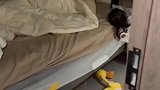 爸爸躺床上睡，女儿站着睡