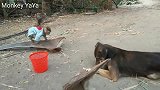 看见奶奶回家，聪明的丫丫跑去迎接和拥抱奶奶，好懂事的小猴