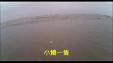 前打钓鱼，黑鲷鱼小咬，能上2斤也算成功了