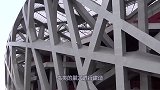 鸟巢都是露天朝上建的，那遇到大雨天怎么办？镜头记录全程