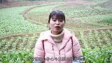 丫丫今天做凉拌猪心，味美无腥味，一次吃一盘，猛吃真过瘾