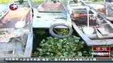 福建闽江大批量鱼死于缺氧 疑因污染所致