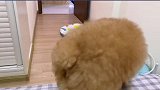 睡觉前的日常你们喜欢咩