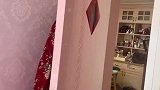 果然奶牛猫都是神经病