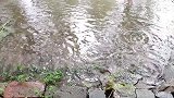短剧：小甜甜和来福下雨天想出去玩，妈妈用化肥袋子给兄妹做雨衣