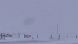 帅炸了，边牧冲进暴风雪，把羊群安全带回来了 边牧 爱了爱了