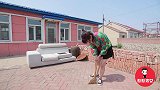 对上联田已荒地已老长得满地都是草，对出下联就给钱