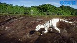 花斑龙击杀白爪龙 恐龙动漫