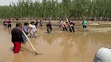 大暴雨过后，村民们都来大河抓鱼，太热闹了！