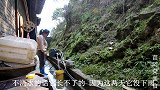 苗大姐早上起来浇菜地，一碗米粥配榨菜，鸟语花香真热闹