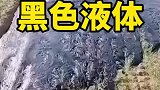 这是什么玩意，大伙有谁知道啊