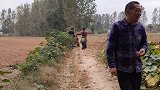 实拍河南豫东农村小麦播种，一亩地收费20元，这个价格怎么样？