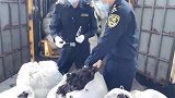 广东深圳：“洋垃圾”退！海关查获废弃人体头发4864公斤
