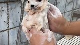 最后还不忘眨眼睛放电