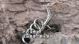男子雨天驾车跟导航走，直接撞上一座山，手带车标欲哭无泪