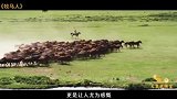 被埋没38年的神作，终于火了