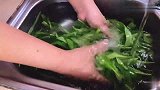 炒空心菜为什么发黄发黑，注意这一点就可以避免