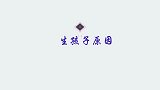董卿含泪公开谈生儿子原因，太让人意外了，董卿谈家人合集