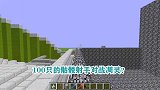 游游解说我的世界，100只的骷髅射手对战凋灵？