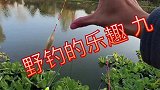 要想钓的多，就得打鱼窝