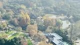 冬将尽春可期愿山河无恙人间皆安