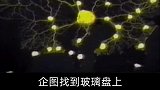 姓氏冷知识，带你涨知识，颠覆你的认知