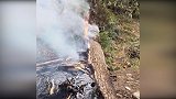 四川木里：一棵树因雷击燃烧 当地干部群众纷纷扑火