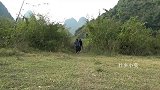 两位美女进山游玩，小莫给她们做红薯窑吃，满满的童年回忆