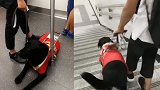 盲人带导盲犬上地铁被拒 地铁方：未戴嘴罩