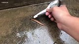 往鼻涕虫身上撒盐，会发生什么？