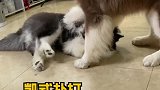 以其之道还治其之身
