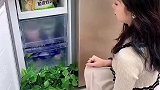 这个葱蒜保鲜盒真的好，质量好放冷冻里不串味