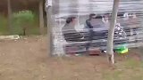 露营野餐天花板，十几块钱挡风又敞亮！