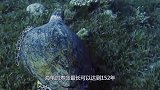 海龟最怕的不是鲨鱼，而是这种“东西”，被寄生只能等死