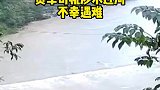 太吓人，货车司机涉水过河，开门逃生瞬间被冲走