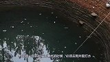 千年枯井时不时有大动静，众人抽干水后，竟付出了血的代价！