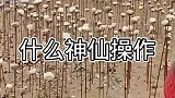 这是个什么阵法吗