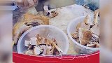 高速堵车一眼望不到头 女子神操作亮了